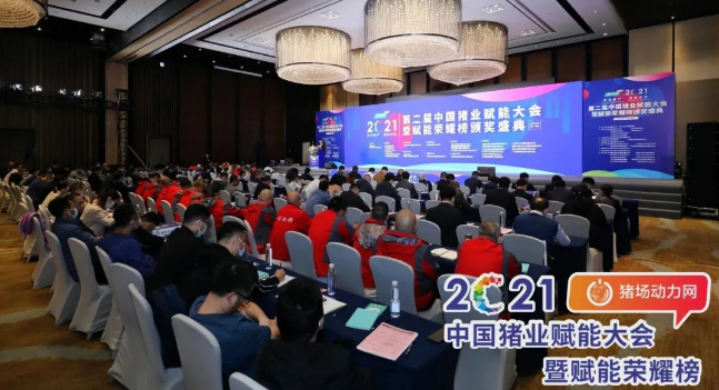 正康生?Plus榮獲“2021年度匠心飼料添加劑”！